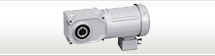Nissei Gearmotors Concentric Hollow/Solid Shaft (F3)