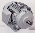 TOSHIBA Induction Motor