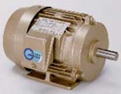 TOSHIBA Induction Motor