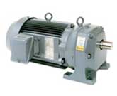 TOSHIBA Induction Motor