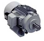 TOSHIBA Induction Motor