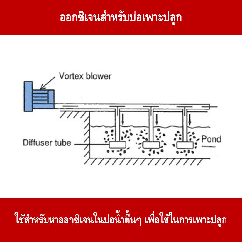 motor servo